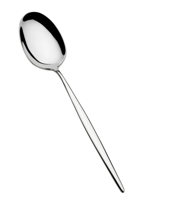 Soup Spoon