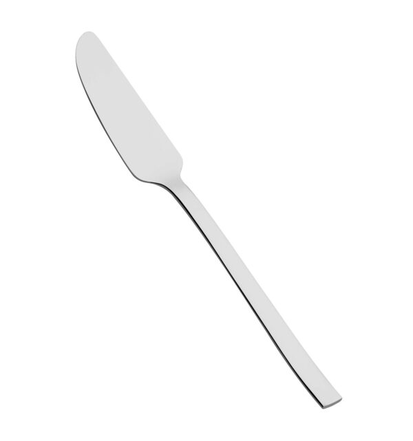 Fish Knife