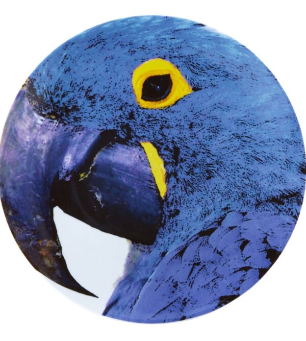 Charger Plate Blue Macaw