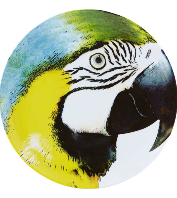 Charger Plate Yellow Bellied Macaw
