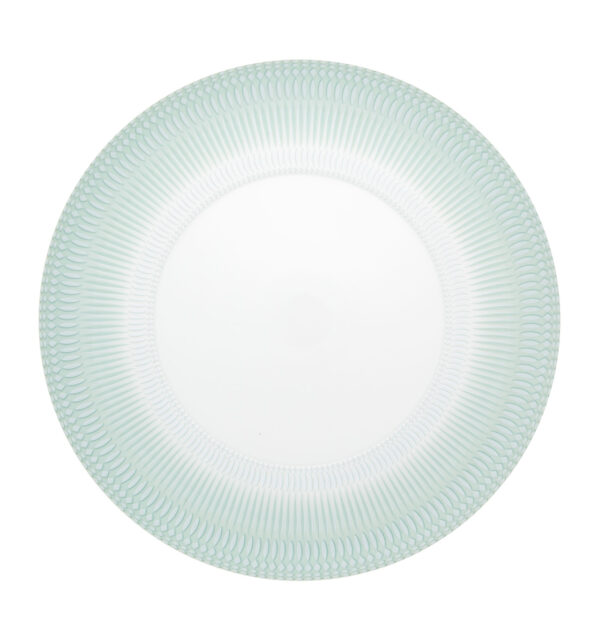 Dinner Plate ( Set Of 2 )