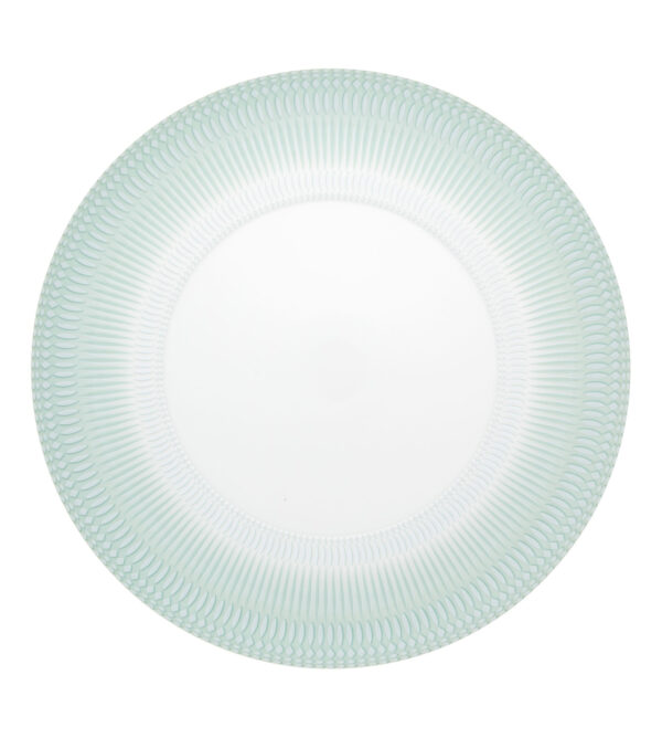 Dinner Plate ( Set Of 2 )