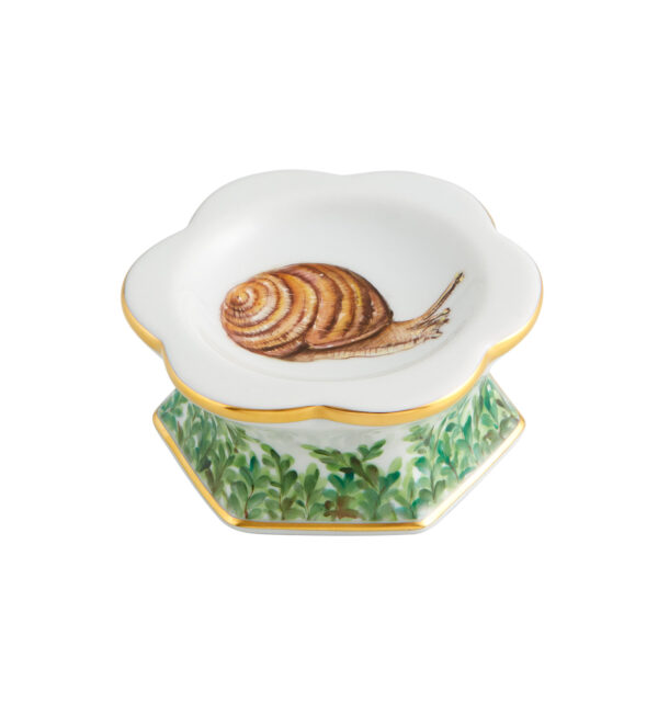 Salt Cellar Snail