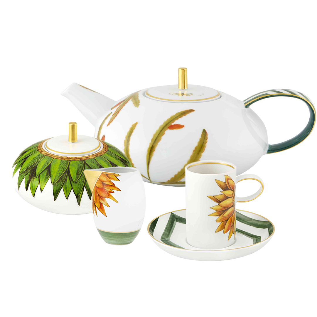 Amazonia-Tset-11Pcs